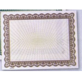 Blank Certificate W/ Gold Borders (8 1/2" x 11")